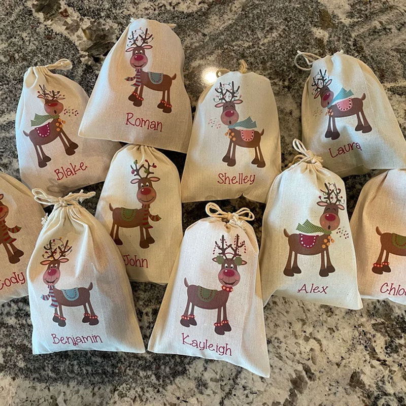 Set of 10 Kid's Christmas Party Favor Bags