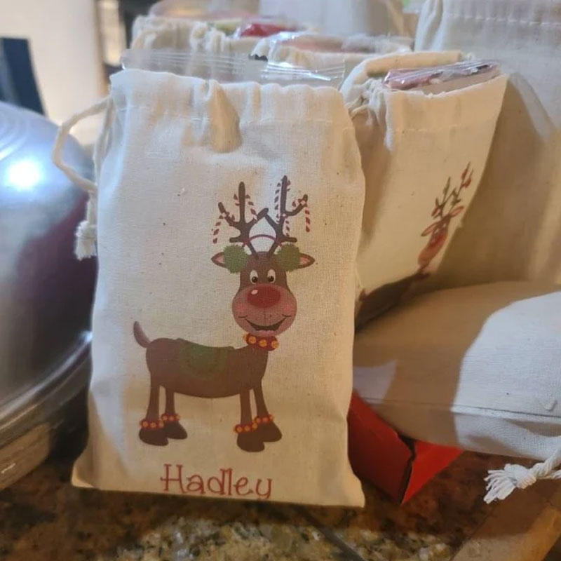 Set of 10 Kid's Christmas Party Favor Bags