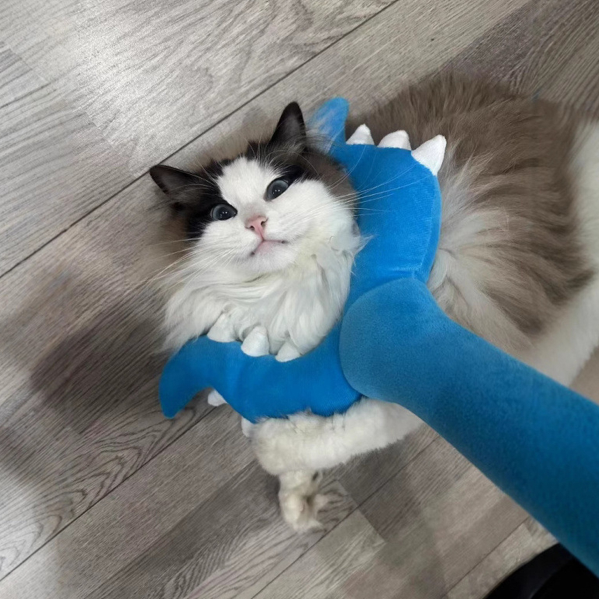 Cute Fork-Shaped Pet Interactive Wand with a Fun Long-Handle Design for Cats and Small Dogs to Chase, Pounce and Play,Chiikawa toy fork design