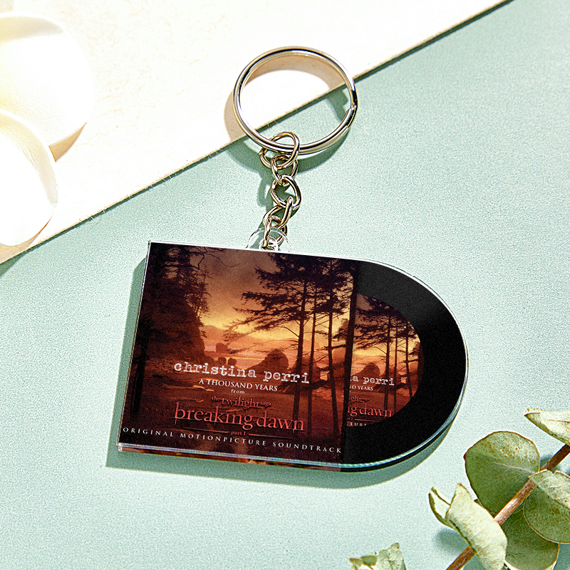 Custom Mini Album CD Keychain Personalized Music Gift Music Lover Keychain CD Album