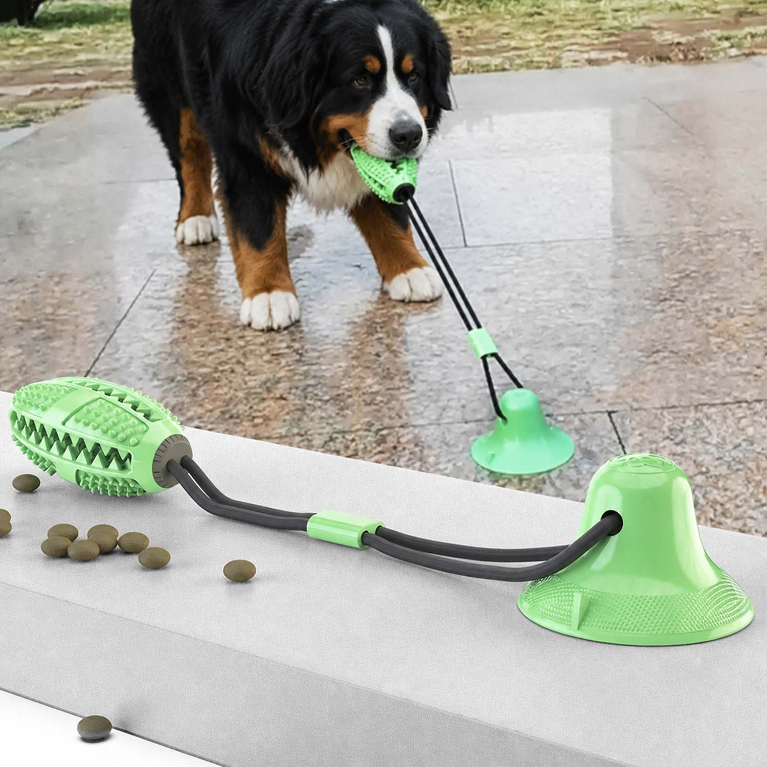 Interactive Dog Tug Toy with Suction Cup Base – Durable Chew & Pull Toy for Dogs