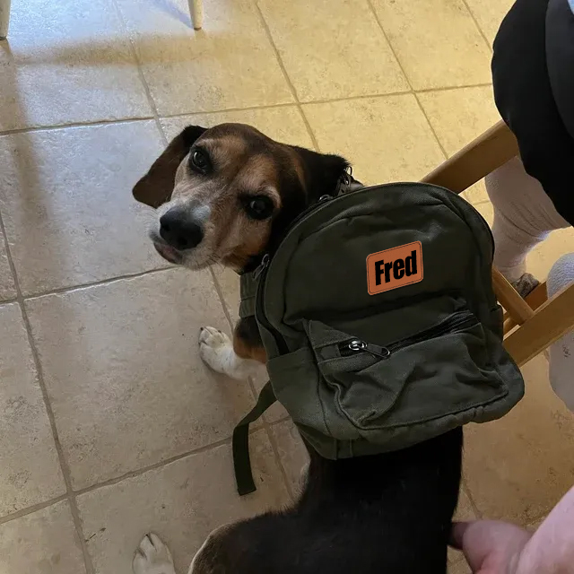 Personalized Leather Patch Kid Canvas Backpack