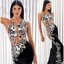 Black Sleeveless Apricot Net Slightly Transparent Piece Long Skirt Evening Dress Celebrity Party Toast Wedding