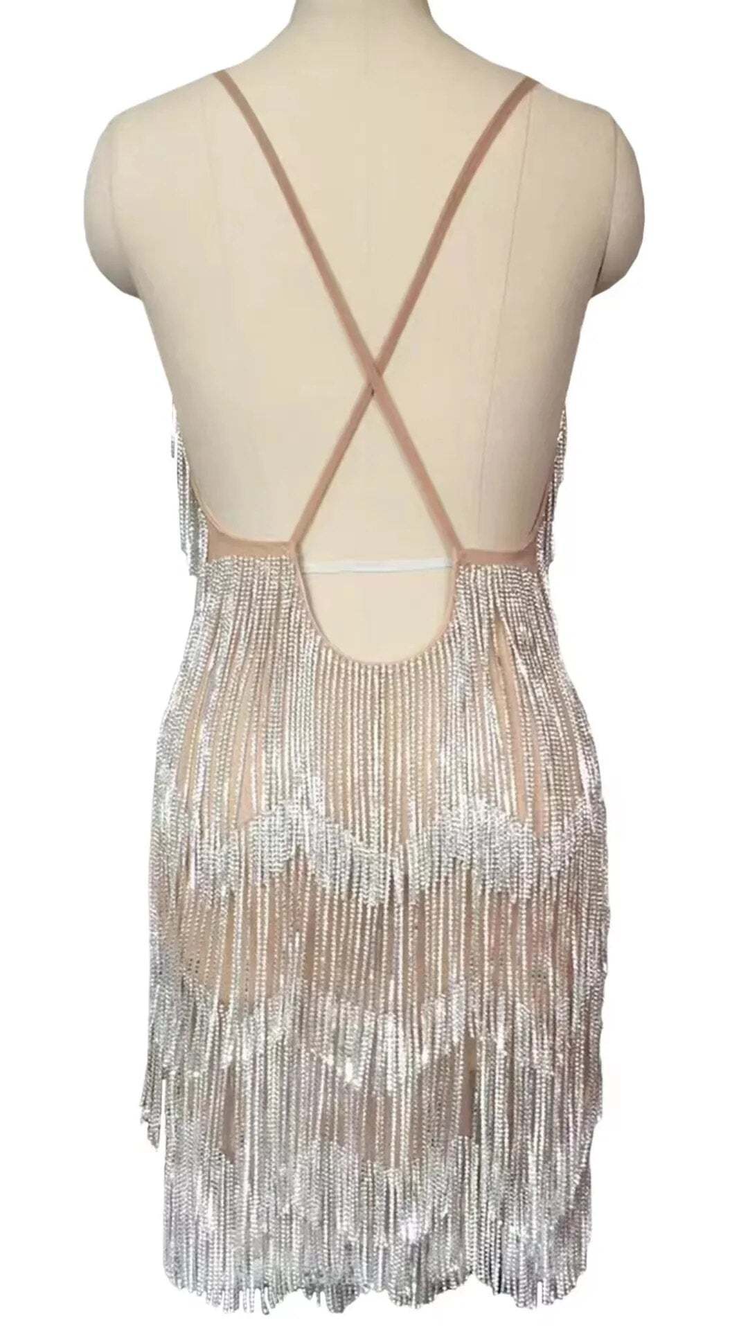 Shinning Silver Tassel Show Web CelebrityModel Bar Rave Outfit Dancer