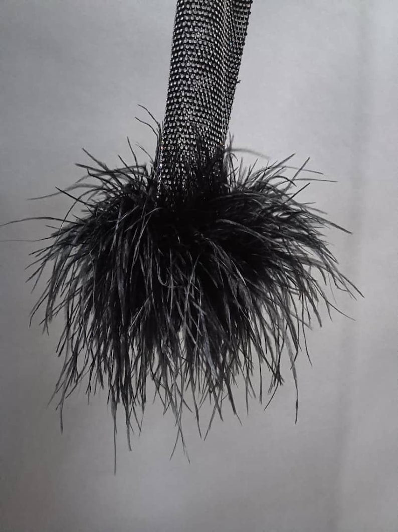 Rhinestone Mesh Top with Ostrich Feather Trim