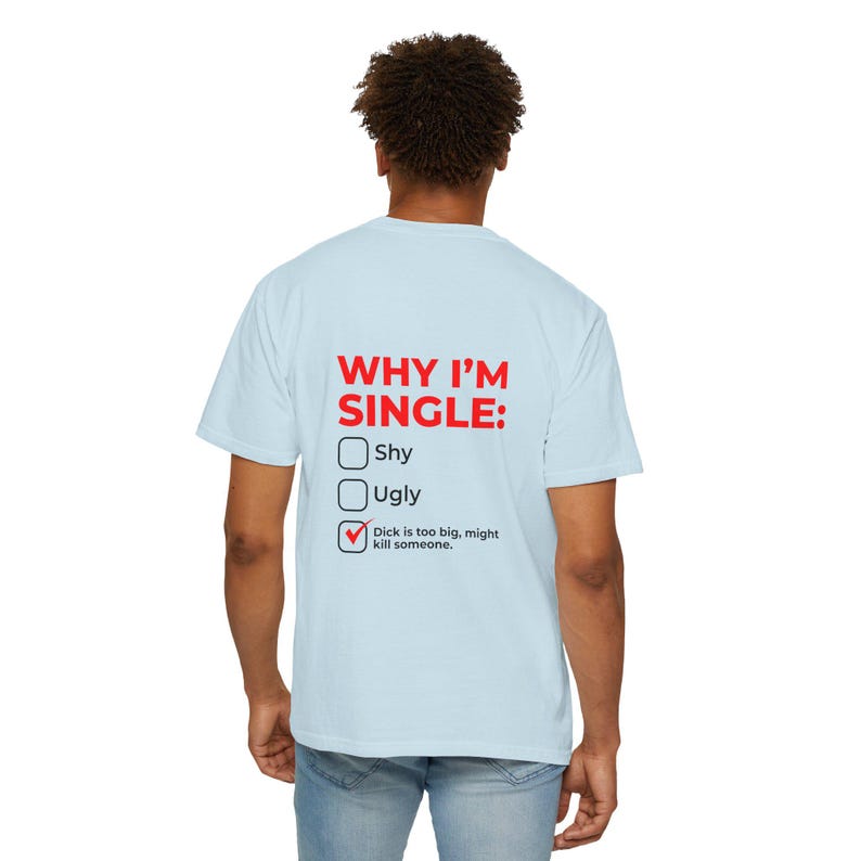 Why I'm Single Meme Shirt, Adult Humor Graphic Tee