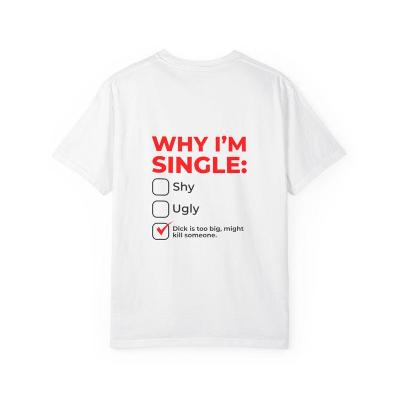 Why I'm Single Meme Shirt, Adult Humor Graphic Tee