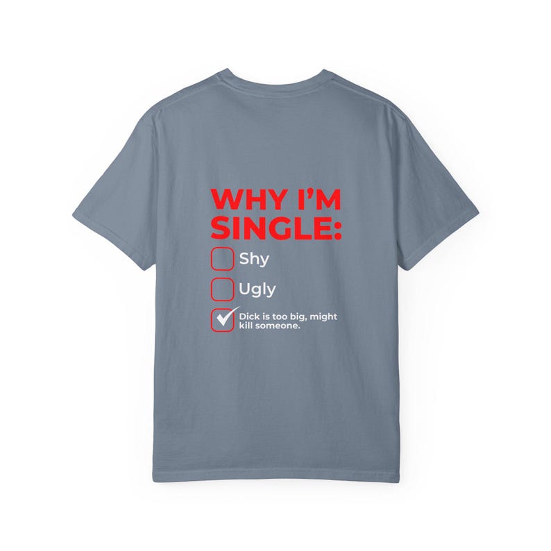 Why I'm Single Meme Shirt, Adult Humor Graphic Tee