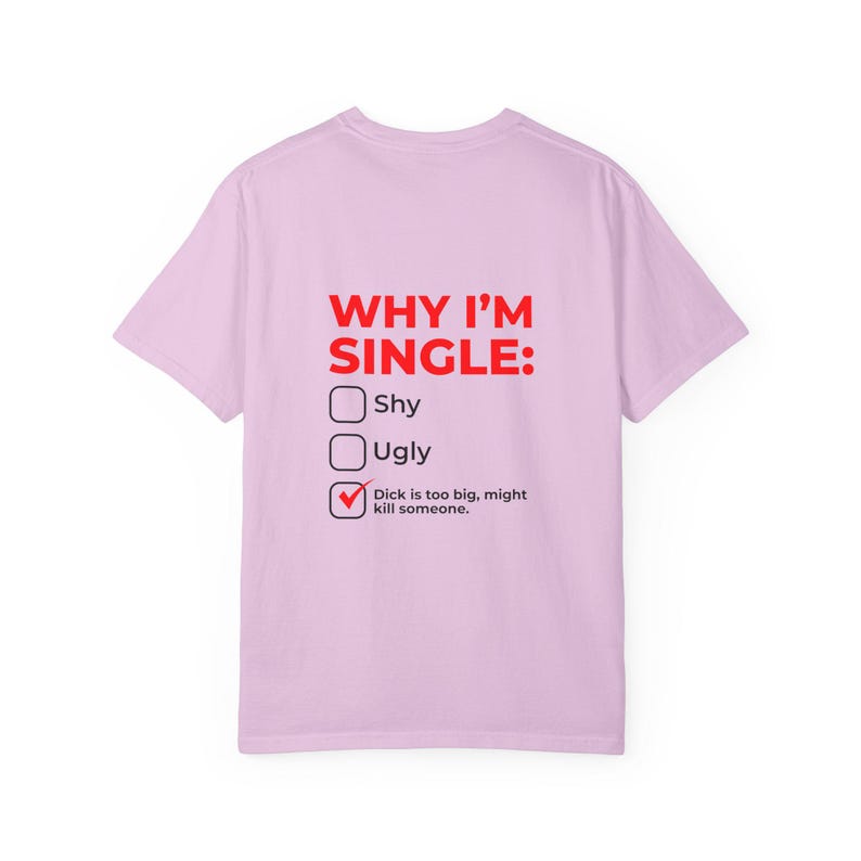 Why I'm Single Meme Shirt, Adult Humor Graphic Tee