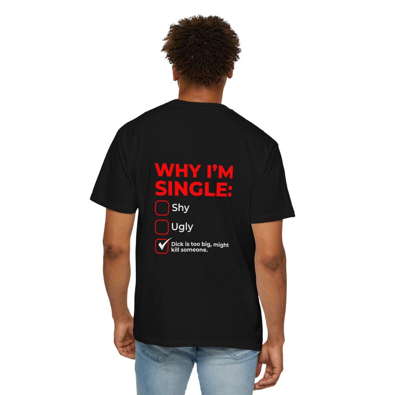 Why I'm Single Meme Shirt, Adult Humor Graphic Tee