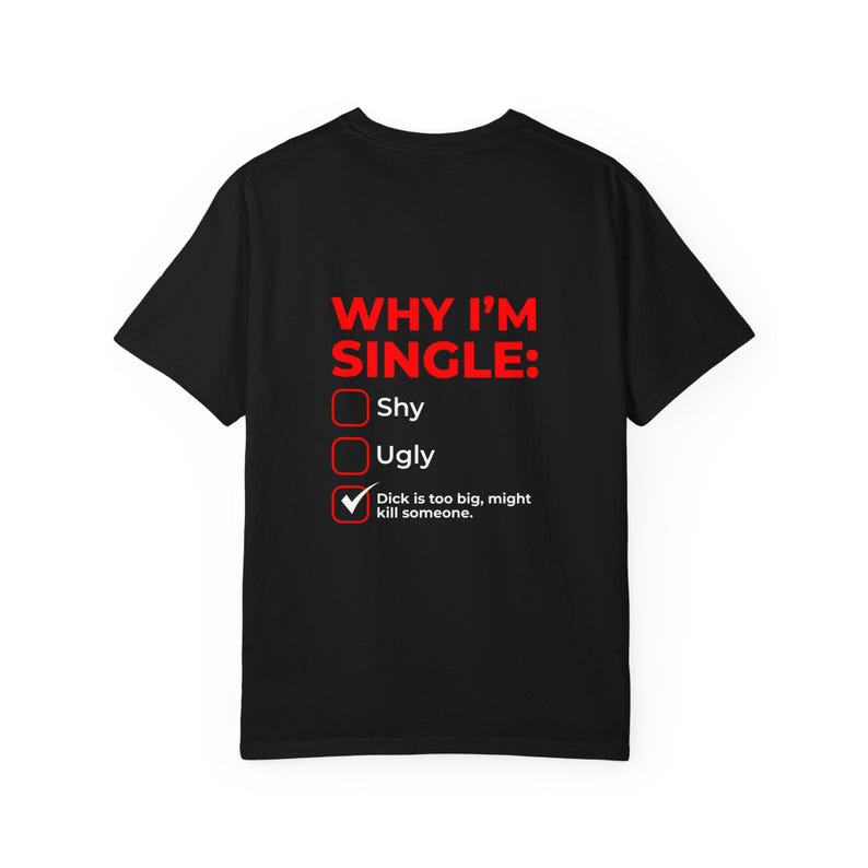 Why I'm Single Meme Shirt, Adult Humor Graphic Tee
