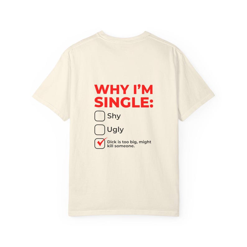 Why I'm Single Meme Shirt, Adult Humor Graphic Tee