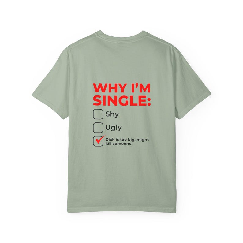 Why I'm Single Meme Shirt, Adult Humor Graphic Tee