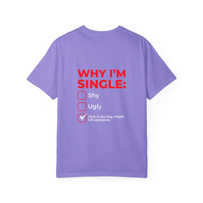 Why I'm Single Meme Shirt, Adult Humor Graphic Tee