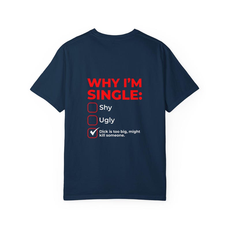 Why I'm Single Meme Shirt, Adult Humor Graphic Tee