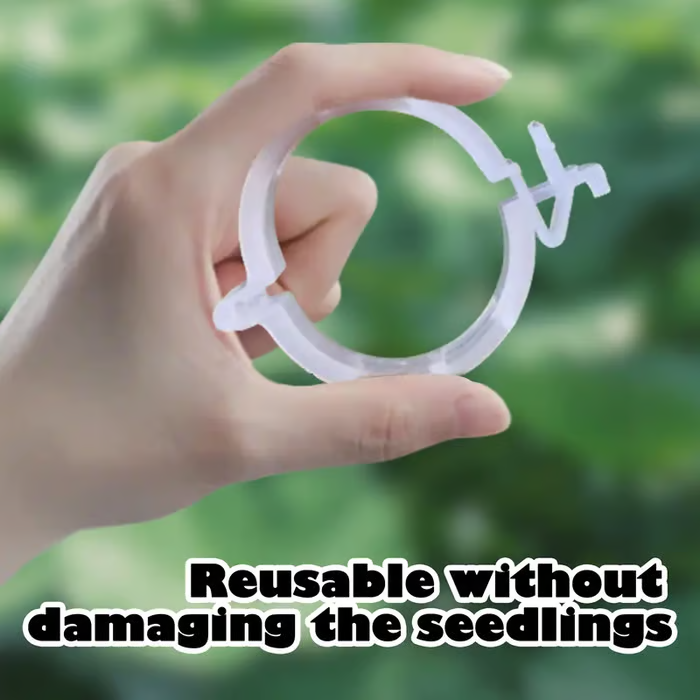 🔥Hot Sale 49% off🌟🌿 100 Counts Plant upright growth support device