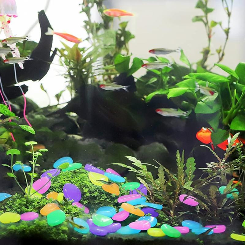 🥳2026 HOT SALE🥳💞50K+ SOLD!🌈🌙 50% OFF! 1000PCS Glow-in-Dark Pebbles