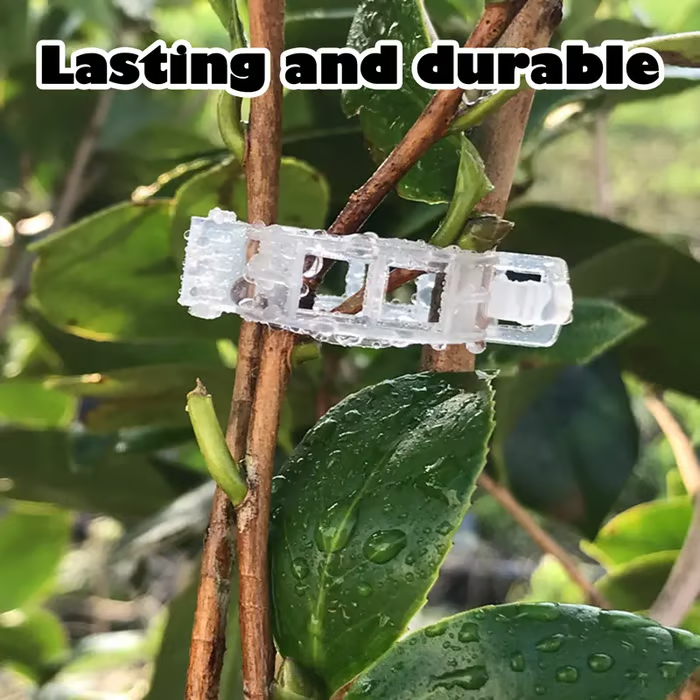 🔥Hot Sale 49% off🌟🌿 100 Counts Plant upright growth support device