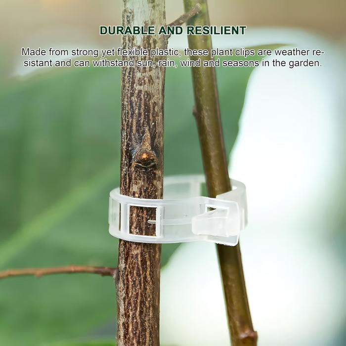 🔥Hot Sale 49% off🌟🌿 100 Counts Plant upright growth support device