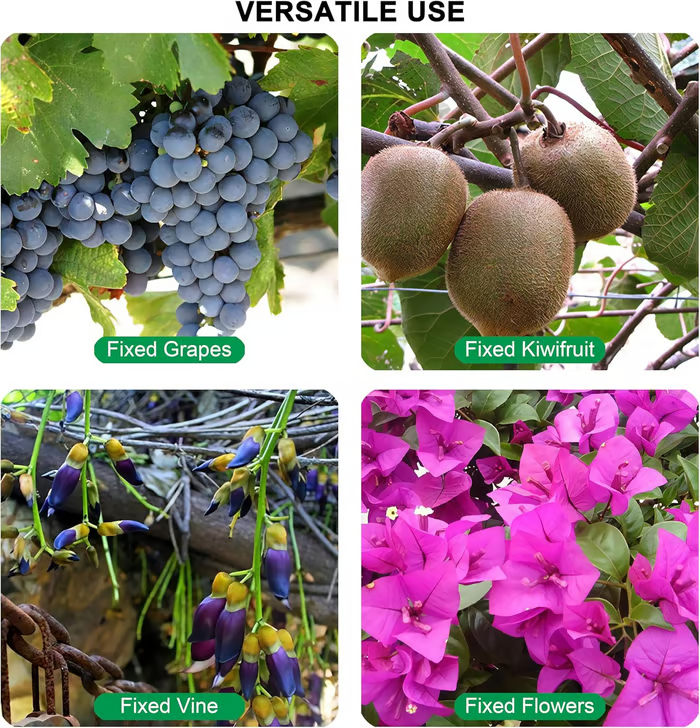 🔥Hot Sale 49% off🌟🌿 100 Counts Plant upright growth support device