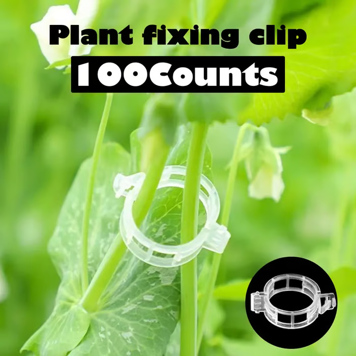 🔥Hot Sale 49% off🌟🌿 100 Counts Plant upright growth support device