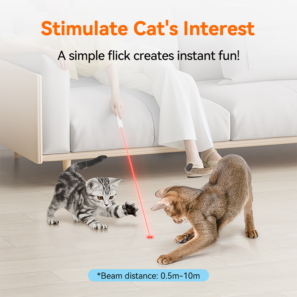 dudupet Red Laser Pointer Cat Toy Laser Toy Cat Chasing USB Rechargeable Laser Flashlight