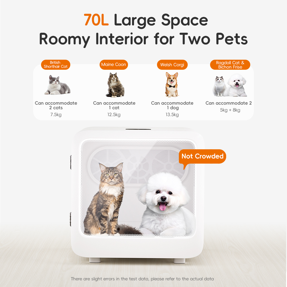 dudupet New Arrival Automatic Pet Hair Grooming Drying Machine Cat Dryer Box Pet Dry Room For Dog