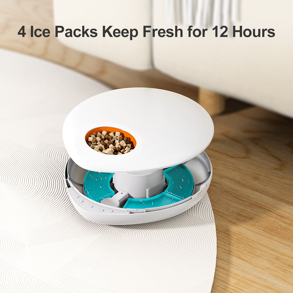 Dry and Wet Food Smart Automatic Electronic 5 Separated Meal Trays Cat Dog Water Food Bowl Timed Pet Feeder