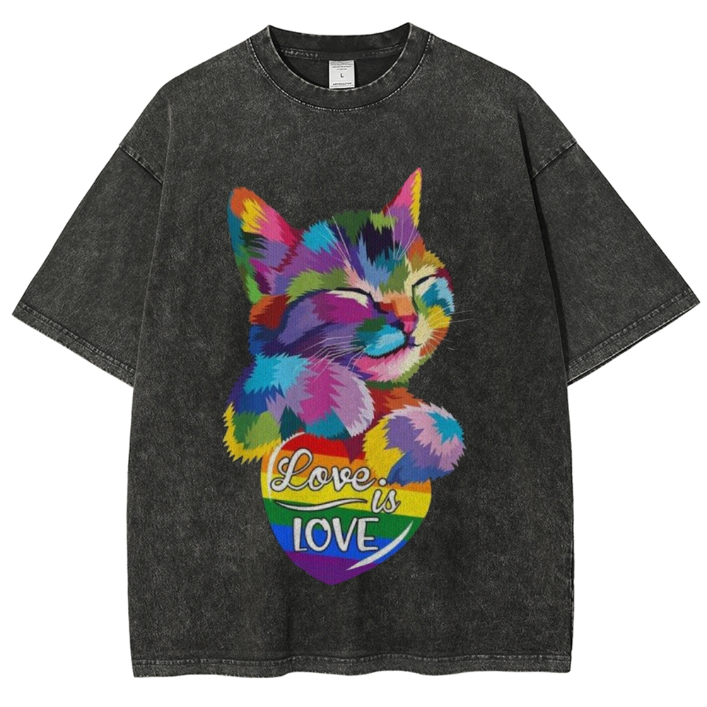 Love Is Love Vintage Snowflake Washed T-Shirt