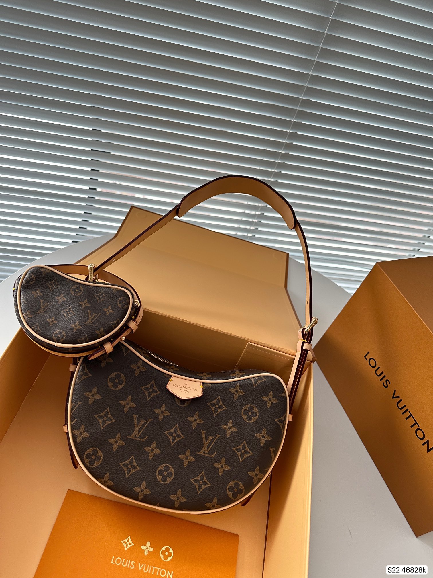 LV Loop Bag