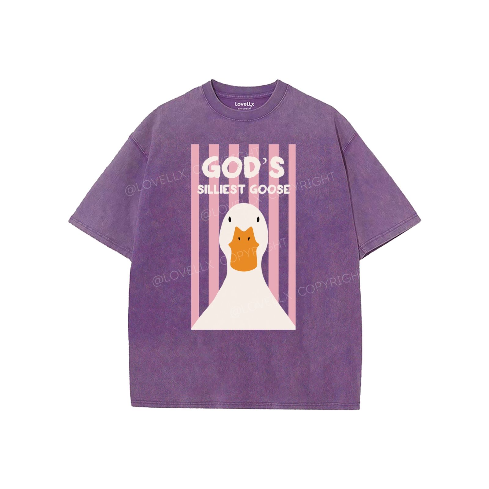 God's Silliest Goose Unisex Washed T-Shirt