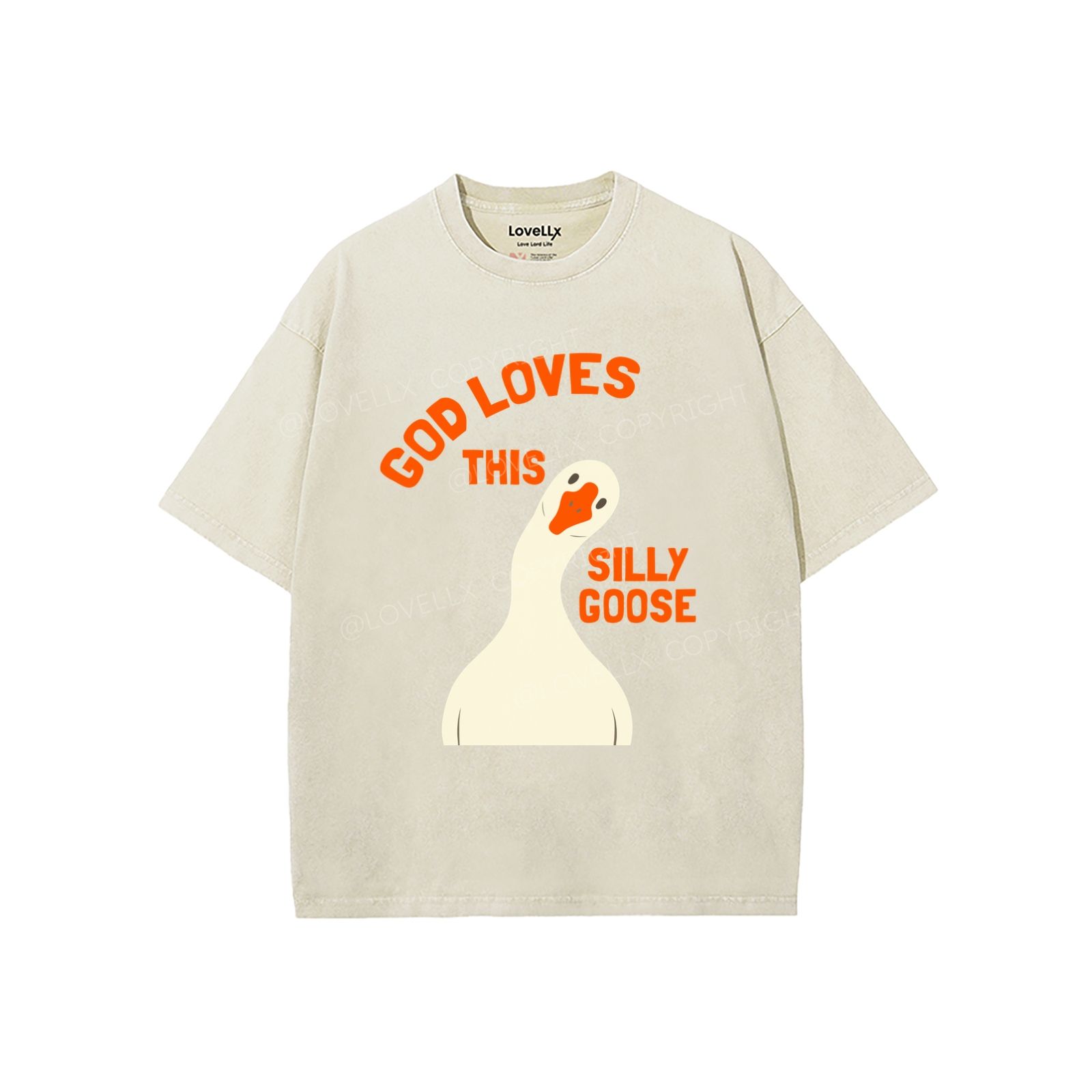 God's Silliest Goose Unisex Washed T-Shirt