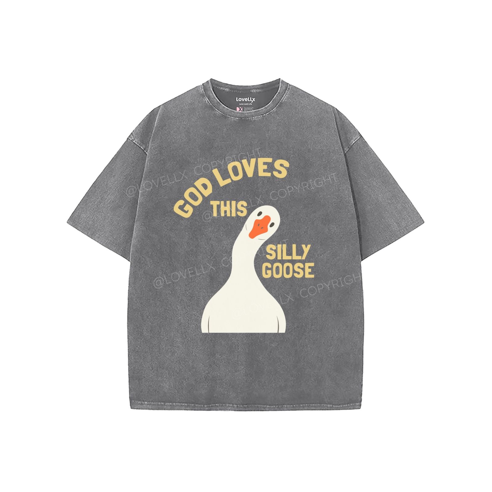 God's Silliest Goose Unisex Washed T-Shirt