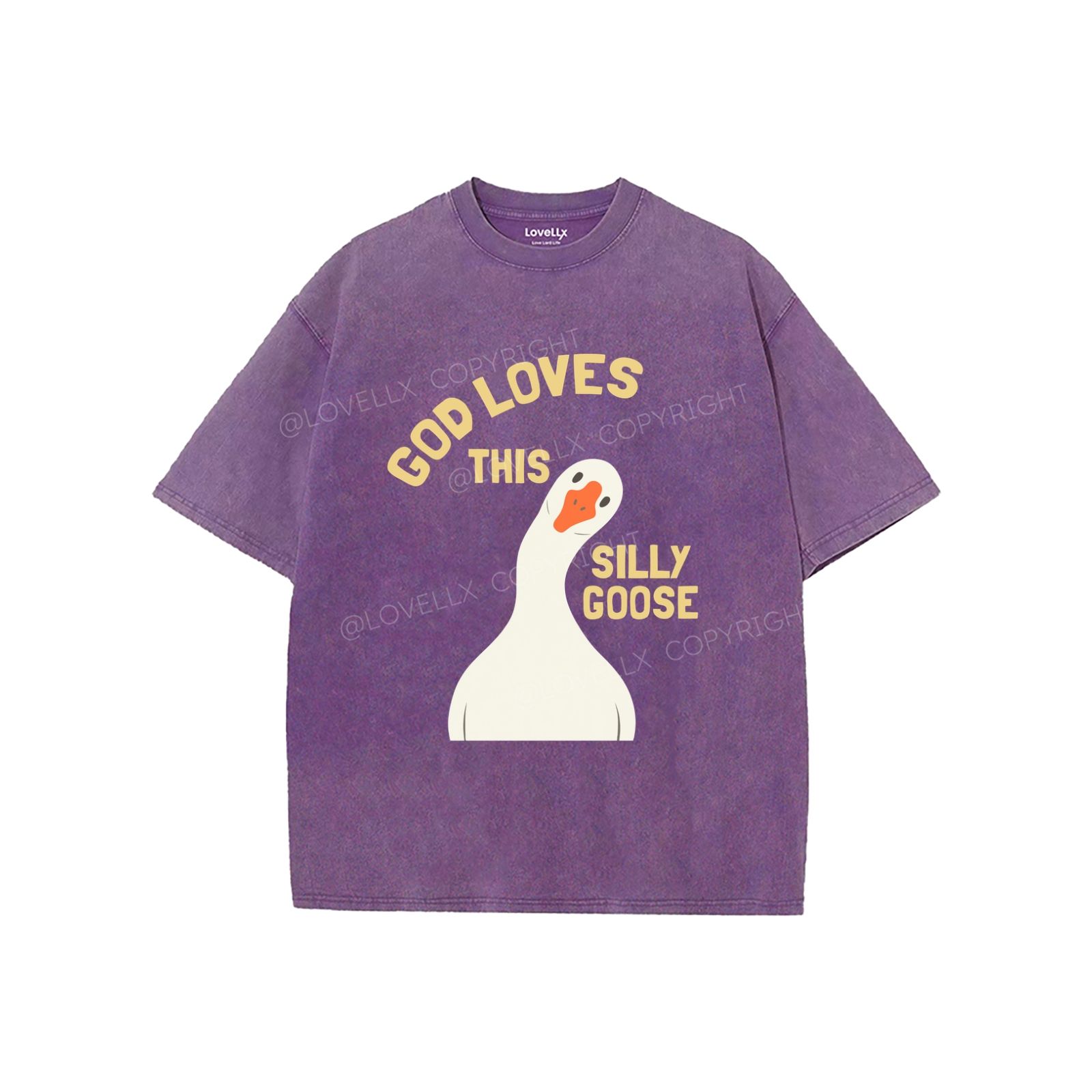 God's Silliest Goose Unisex Washed T-Shirt