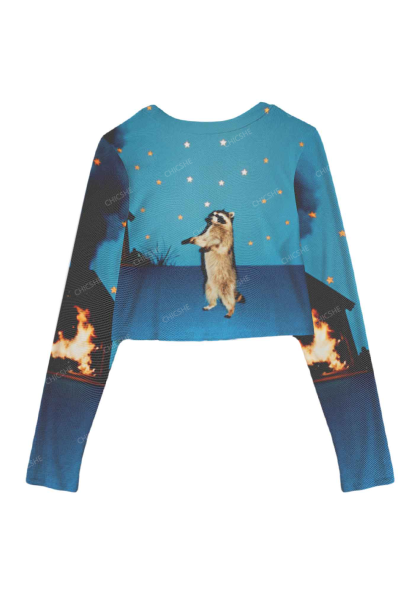 Raccoon Under The Starry Sky Y2K Mesh Long Sleeve Crop Top Chicshe
