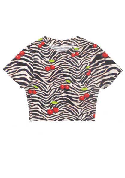 Cherry Zebra Print Y2K Mesh Crop Top Chicshe 