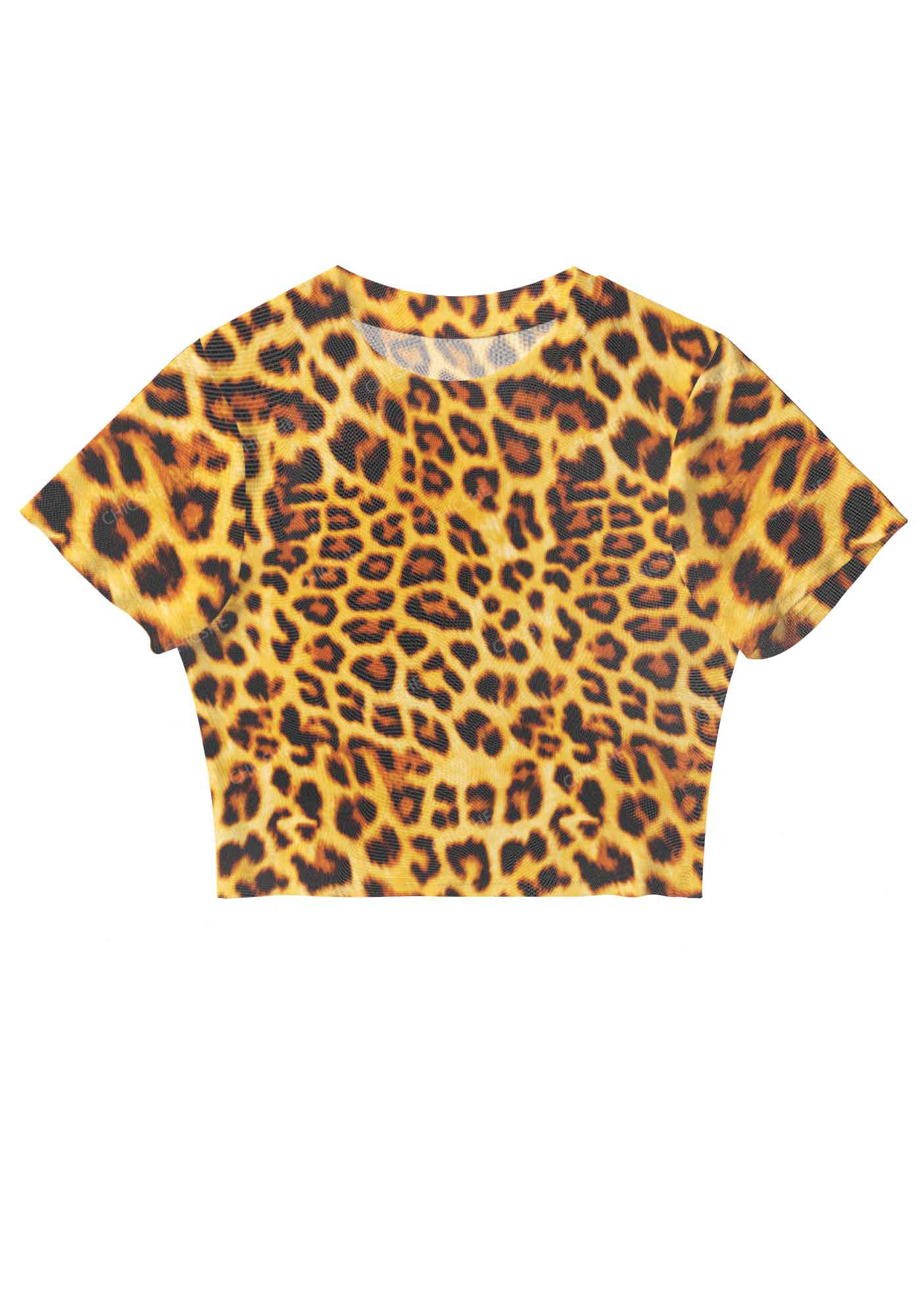 Raccoon Hiding In A Garbage Bag Y2K Mesh Crop Top Chicshe