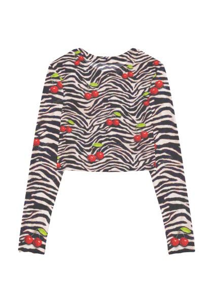 Cherry Zebra Print Y2K Mesh Long Sleeve Crop Top Chicshe 
