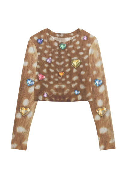 Leopard Print Gemstone Y2K Mesh Long Sleeve Crop Top Chicshe  