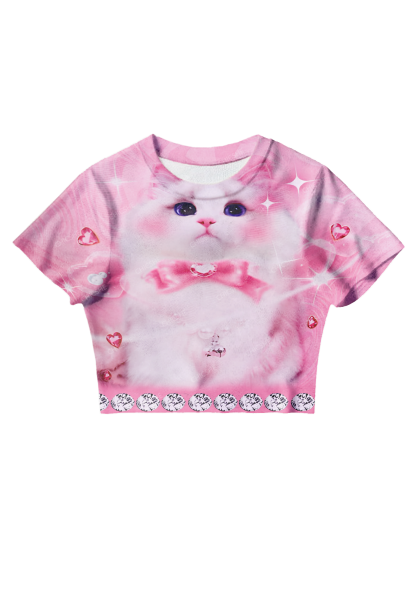 Chicshe Romantic Blush Cat Y2K Mesh Crop Top