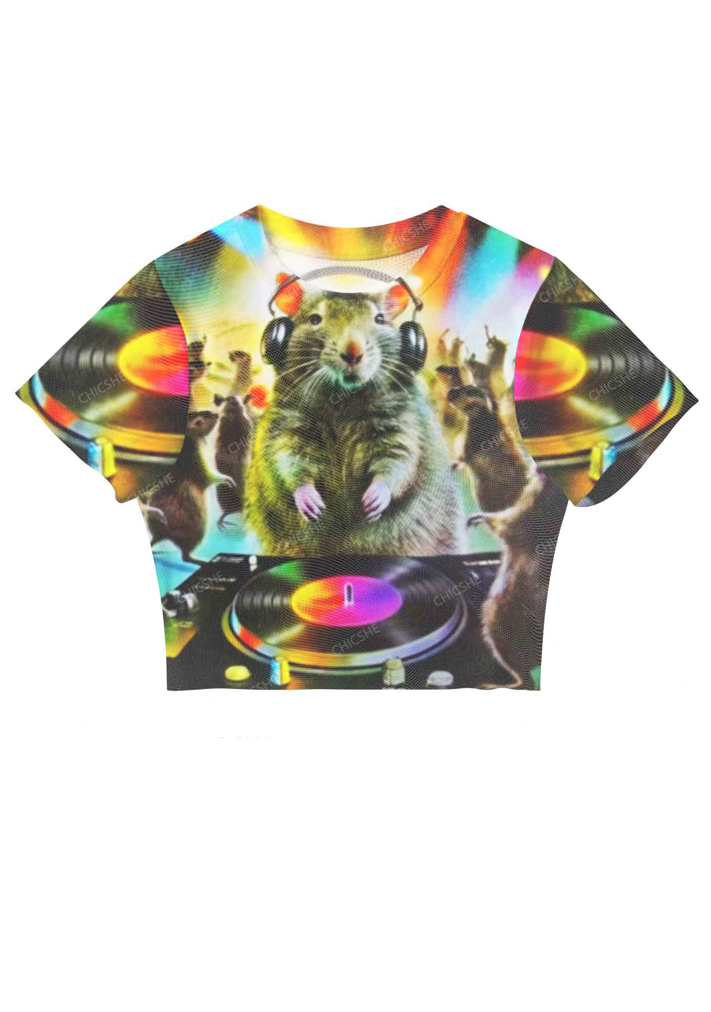 The Famous Rat DJ Y2K Mesh Crop Top Chicshe