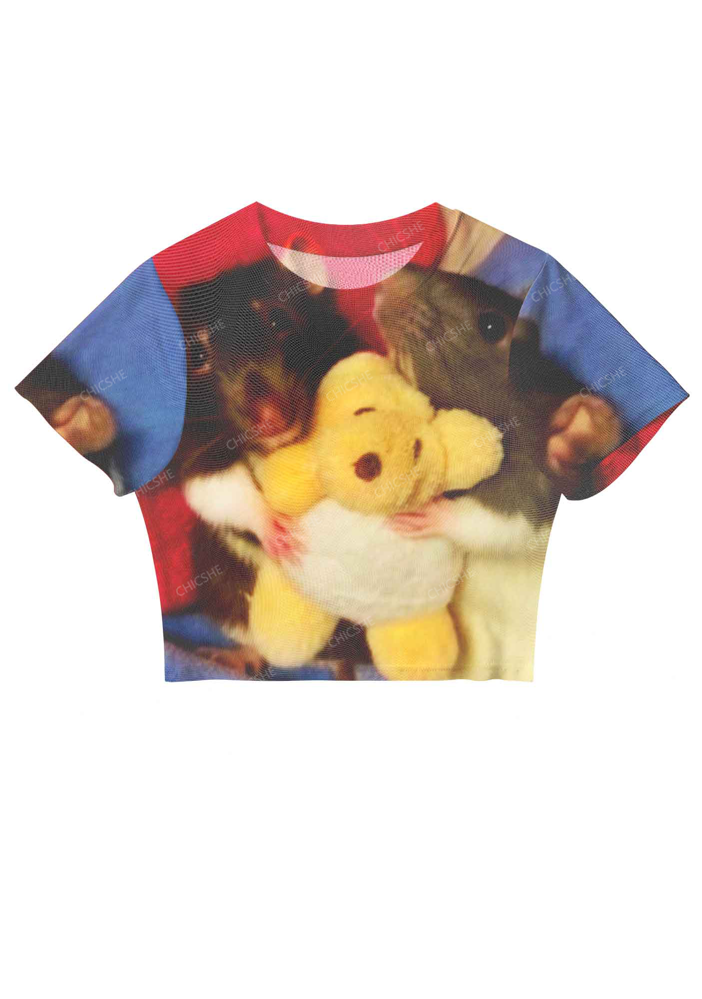 I'm A Femme Y2K Baby Tee Chicshe