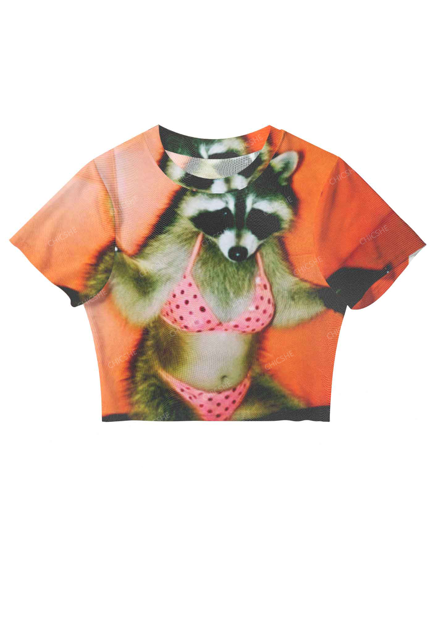 I'm A Femme Y2K Baby Tee Chicshe