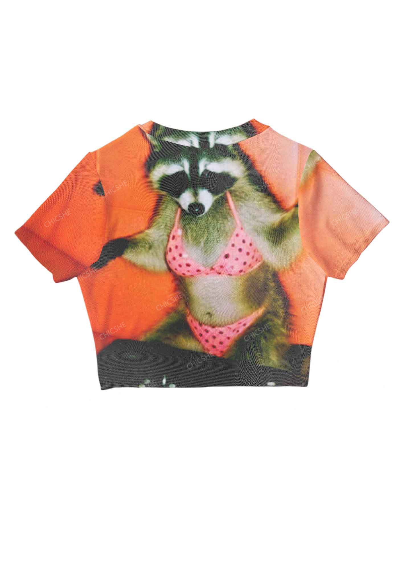 Bikini Raccoon Y2K Mesh Crop Top Chicshe