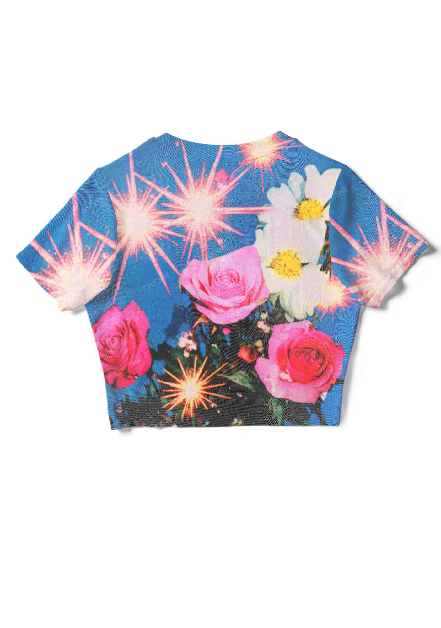 Fireworks And Roses Y2K  Mesh Crop Top Chicshe 