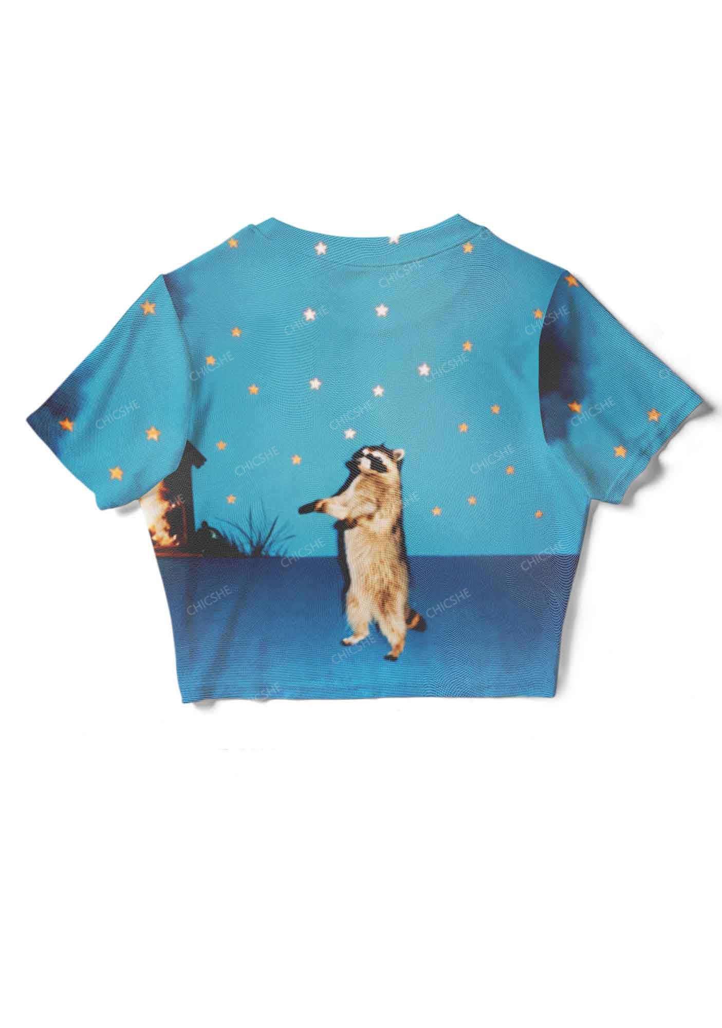 Stars And Raccoons At Night Y2K Mesh Crop Top Chicshe 