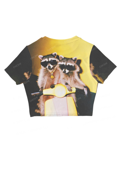 Two Fashionable Raccoons Y2K Mesh Crop Top Chicshe