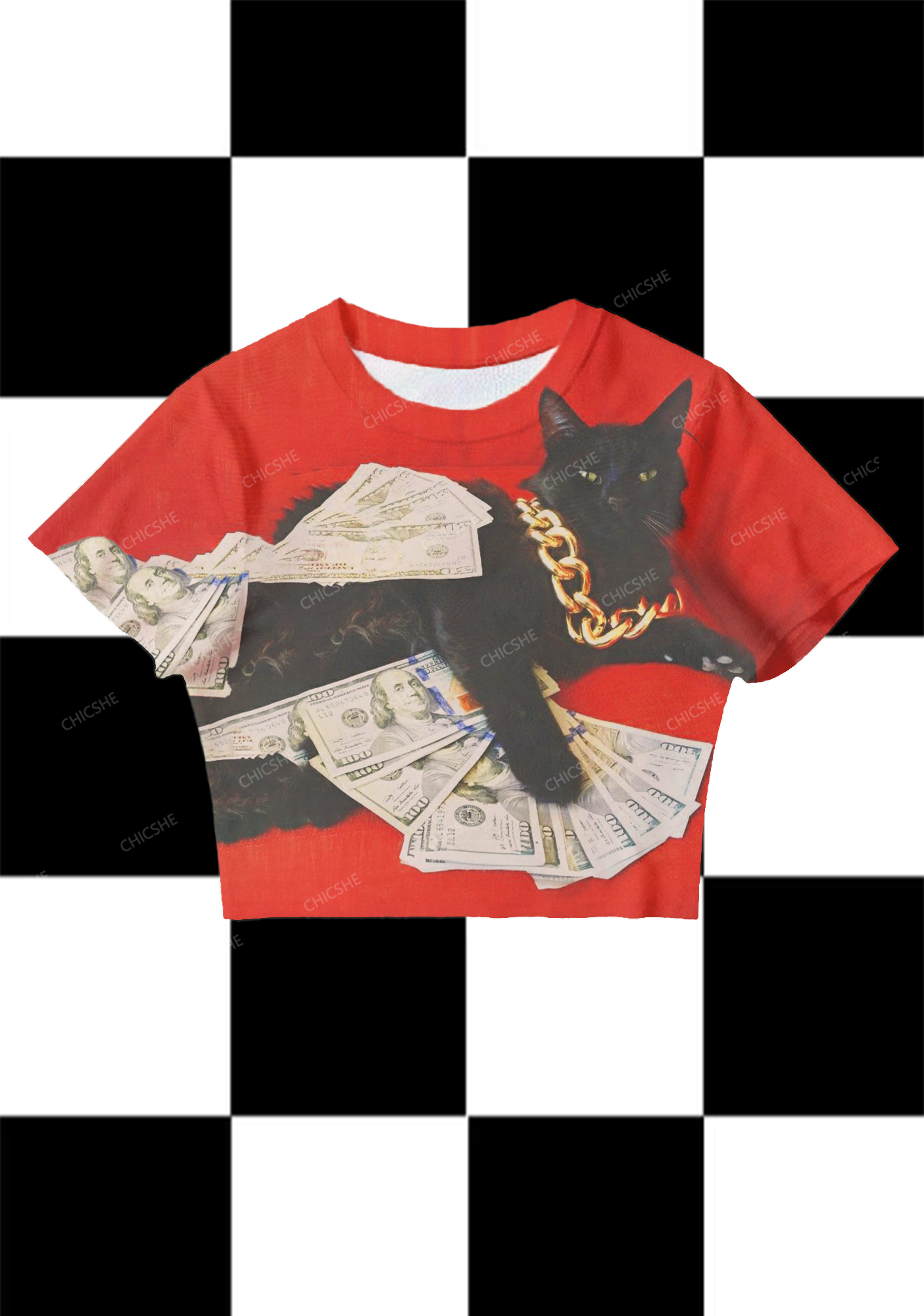  Chicshe Rich Cat Y2K Mesh Crop Top