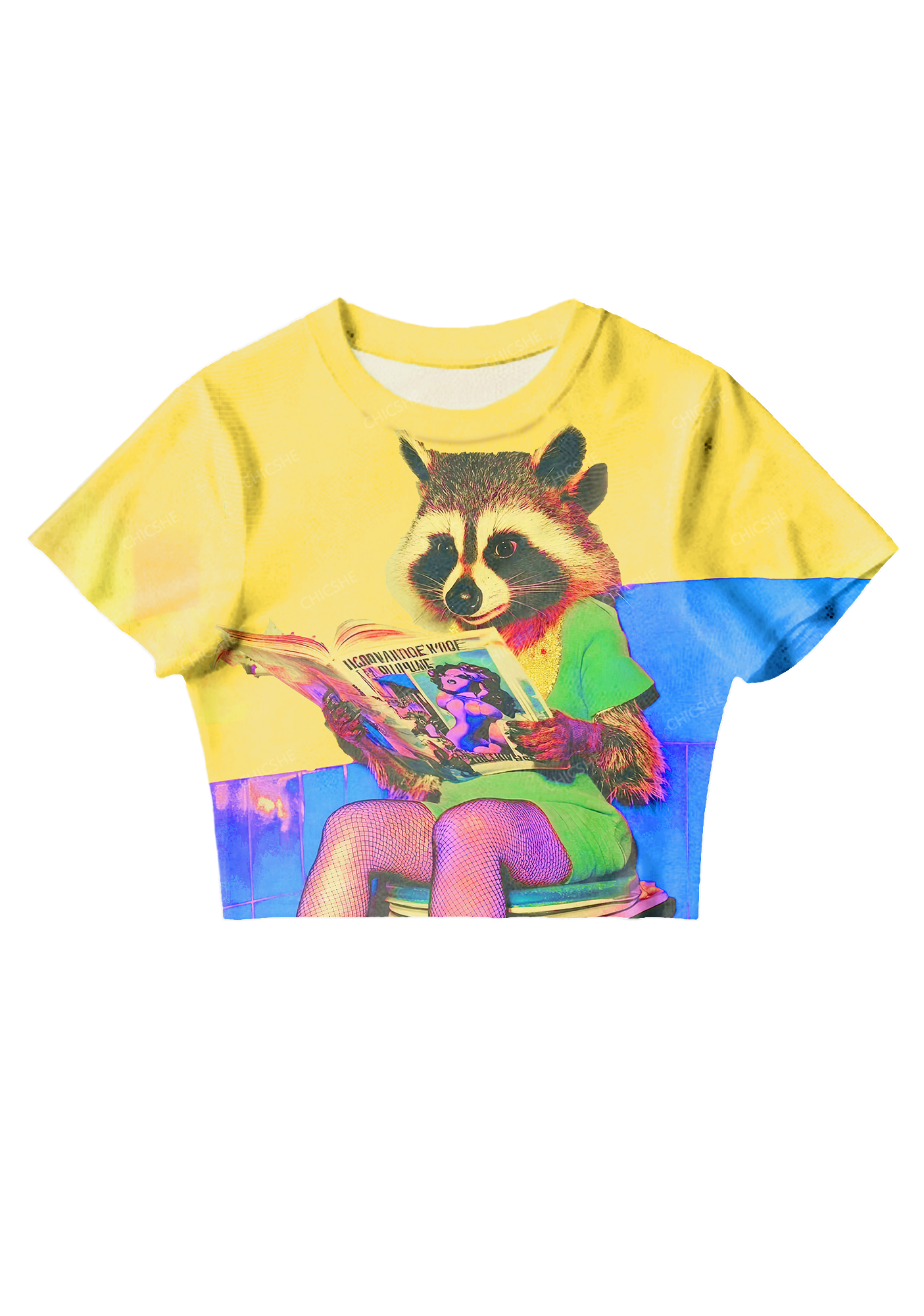 Chicshe Raccoon On The Toilet Y2K Mesh Crop Top 