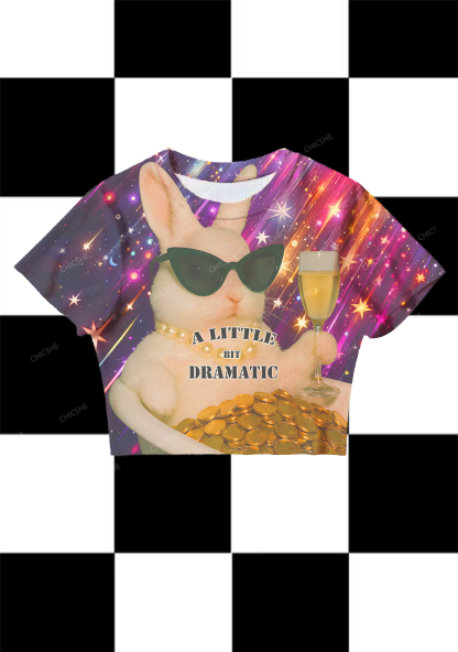 Chicshe  A Little Bit Dramatic Y2K Mesh Crop Top